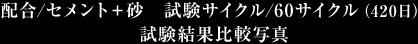 配合/セメント＋砂 試験サイクル/60サイクル（420日）試験結果比較写真